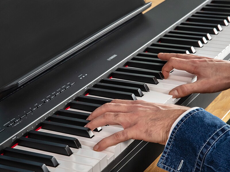P-225 - Overview - P Series - Products - Pianos - Yamaha - Canada