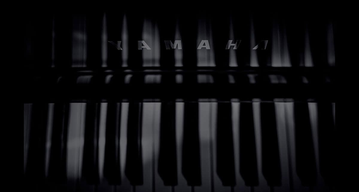 WHAT PERFECTION FEELS LIKE