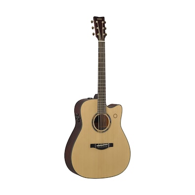 TransAcoustic Guitars (2nd Gen)