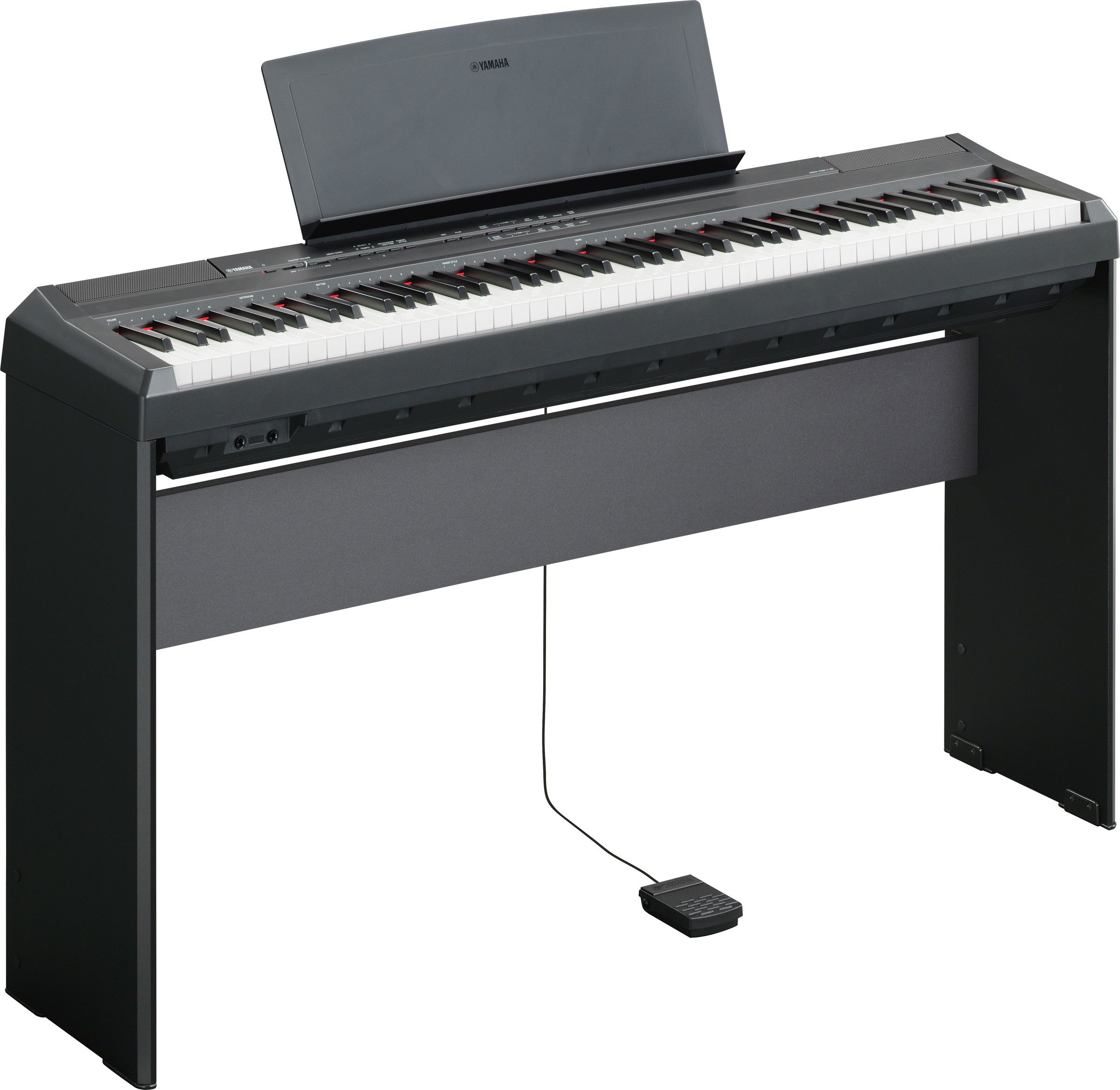 P-105 - Overview - P Series - Pianos - Musical Instruments