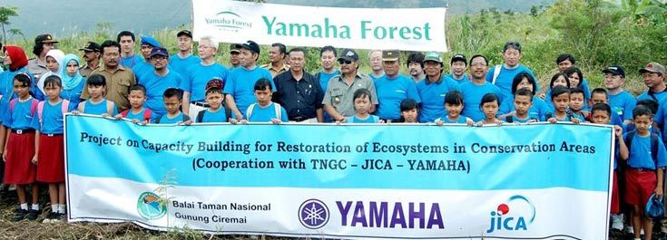 Yamaha Forest