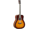 FG-TA Brown Sunburst Left Front