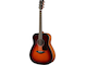 FG800 Brown Sunburst Right Front