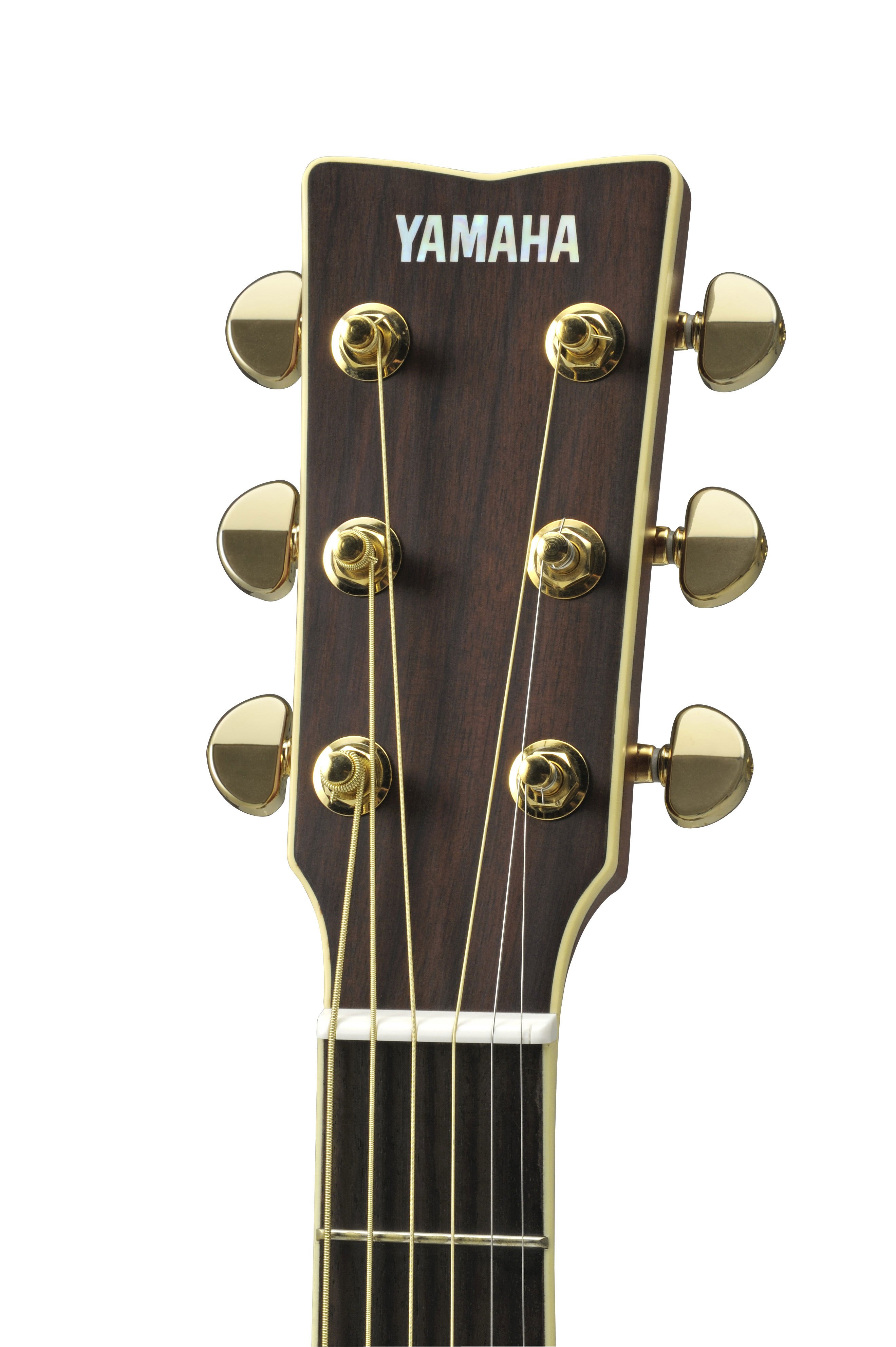 L-Series - LS Series - Acoustic Guitars - Guitars, Basses & Amps 