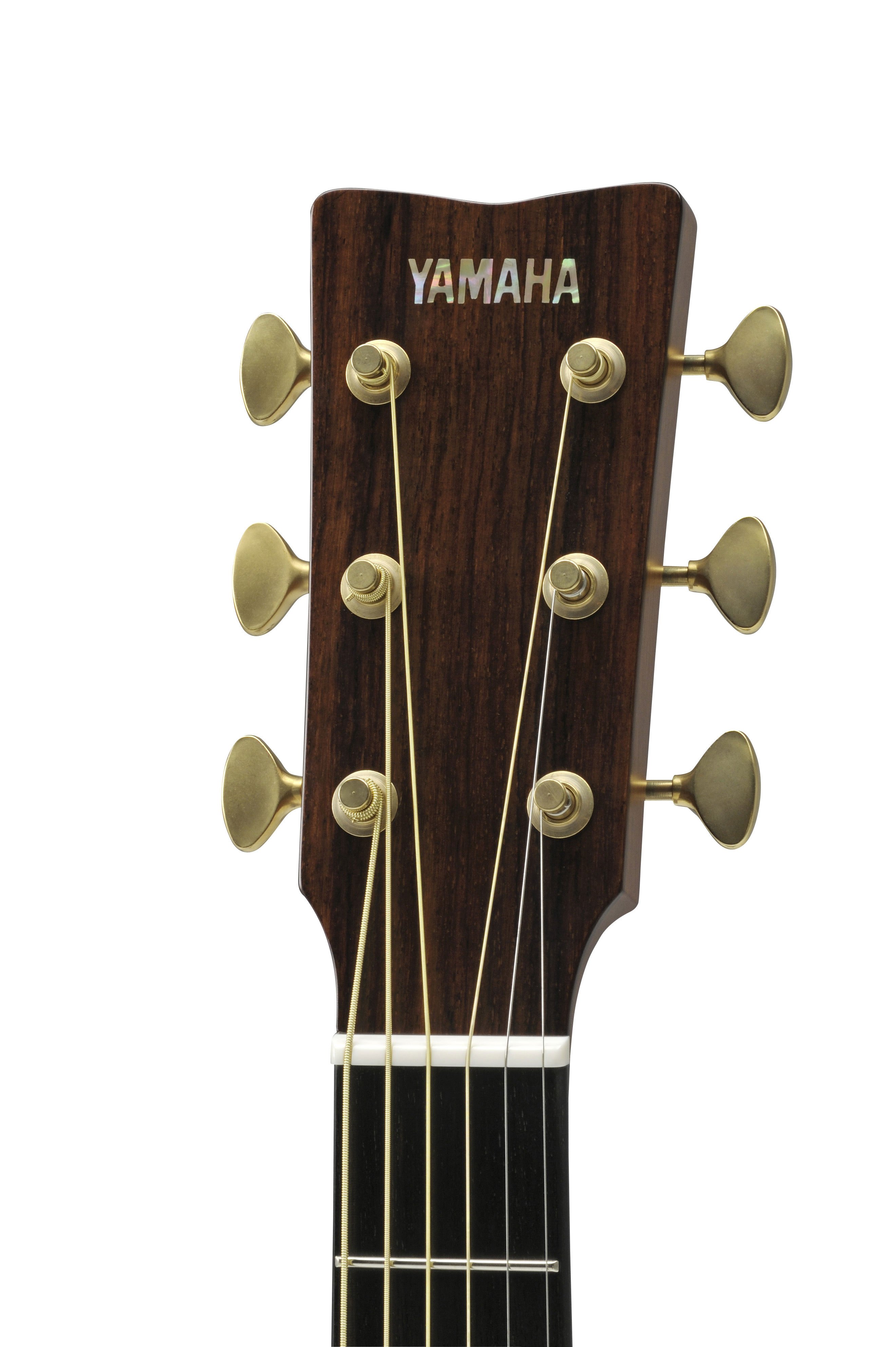 L-Series - LS Series - Acoustic Guitars - Guitars, Basses & Amps