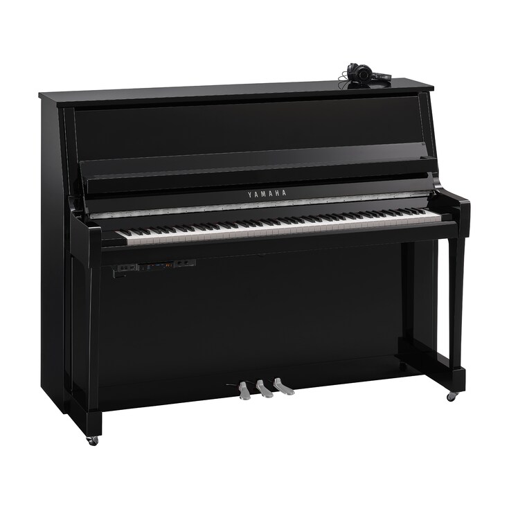 Product image of B20SC3 (Polished Ebony Chrome)