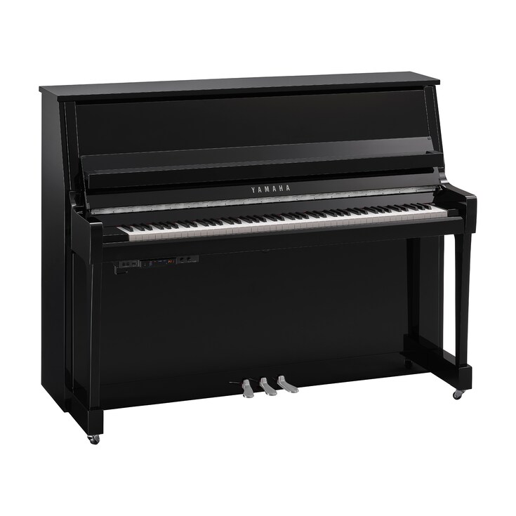 Product image of B20TC3 (Polished Ebony Chrome)