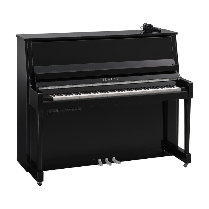 Product image of B30SC3 (Polished Ebony Chrome)