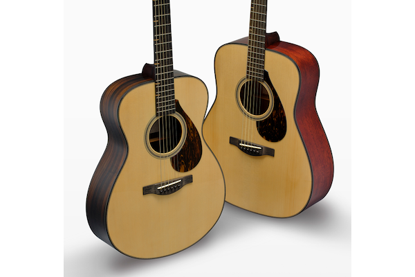 The FS9 R guitar and FG9 M guitar are pictured upright, at an angle to each other on a white background. The FS9 R is in front, showing its smaller concert-style body and darker rosewood back and sides against the larger dreadnought-style body and lighter mahogany back and sides of the FG9 M.