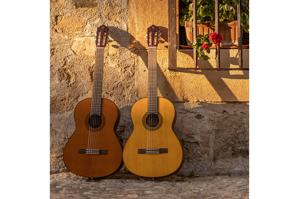 Choose From a Wide Variety of Models