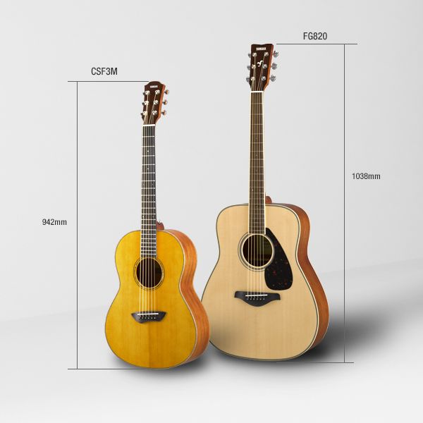 CSF - Features - Acoustic Guitars - Guitars, Basses & Amps