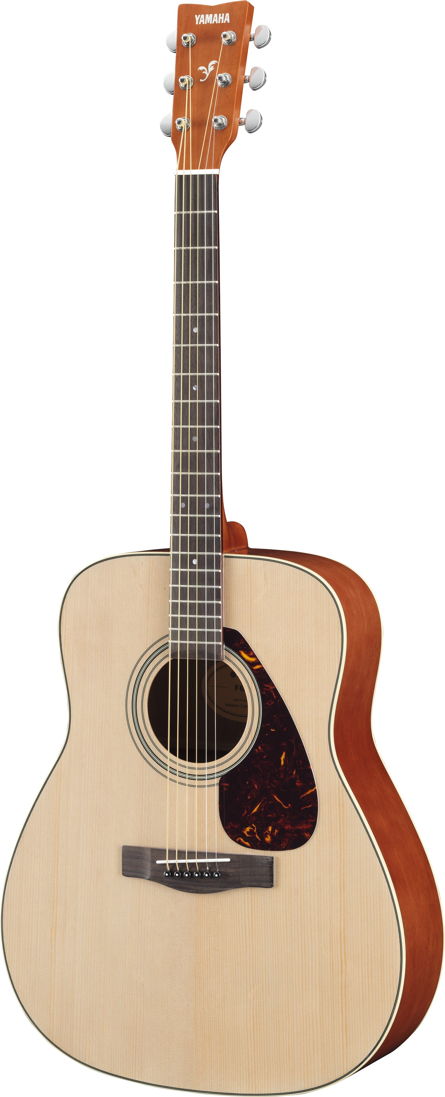 F / FX - Lineup - Acoustic Guitars - Products - Guitars, Basses