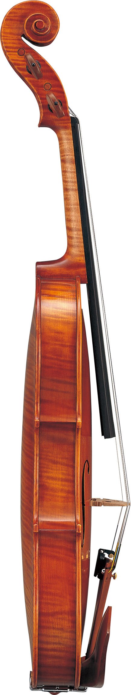V20G - Overview - Acoustic Strings - Strings - Musical