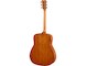 Product image of the FG800J with Brown Sunburst color taken from the back