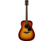Product image of the FG800J with Brown Sunburst color taken from the front