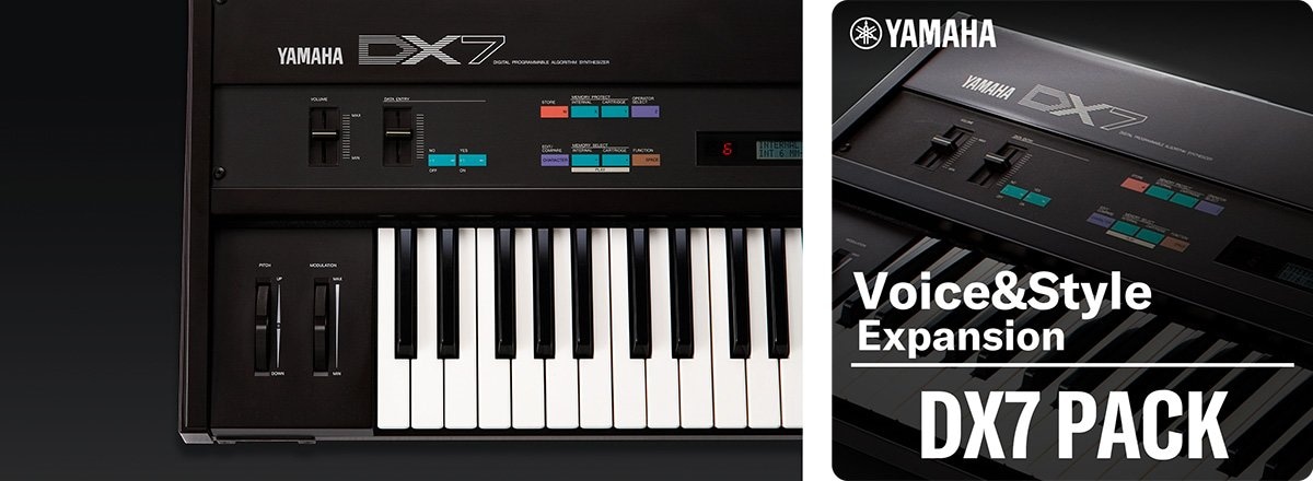 DX7 product photo./Icon image of DX7 pack. The DX7 product photo is on the background.