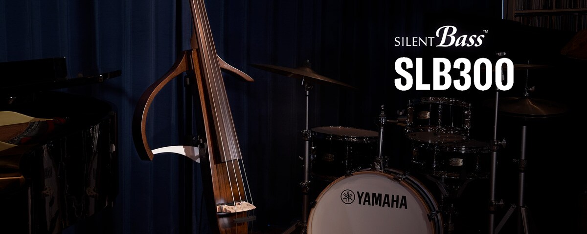 SLB300/SLB300PRO - Overview - SILENT™ SERIES - Products - String