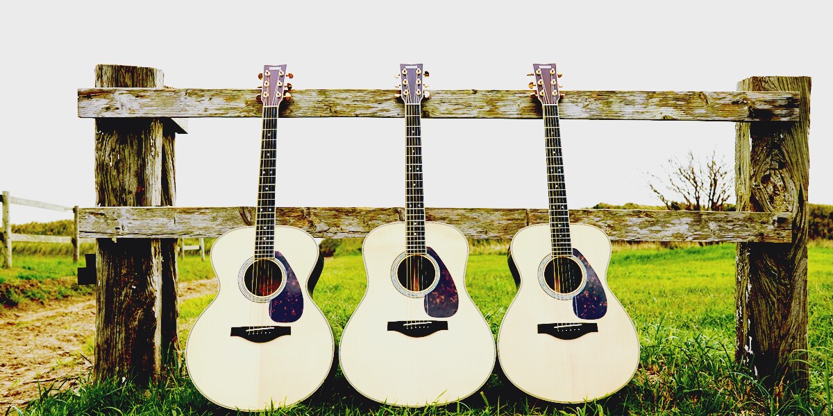 L-Series - Overview - Acoustic Guitars - Products - Guitars