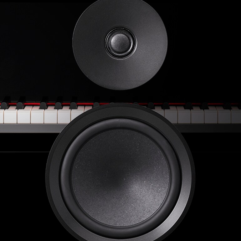 NS-800A - Overview - Speakers - Products - Home Audio - Yamaha