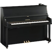 Yamaha P22 SC3
