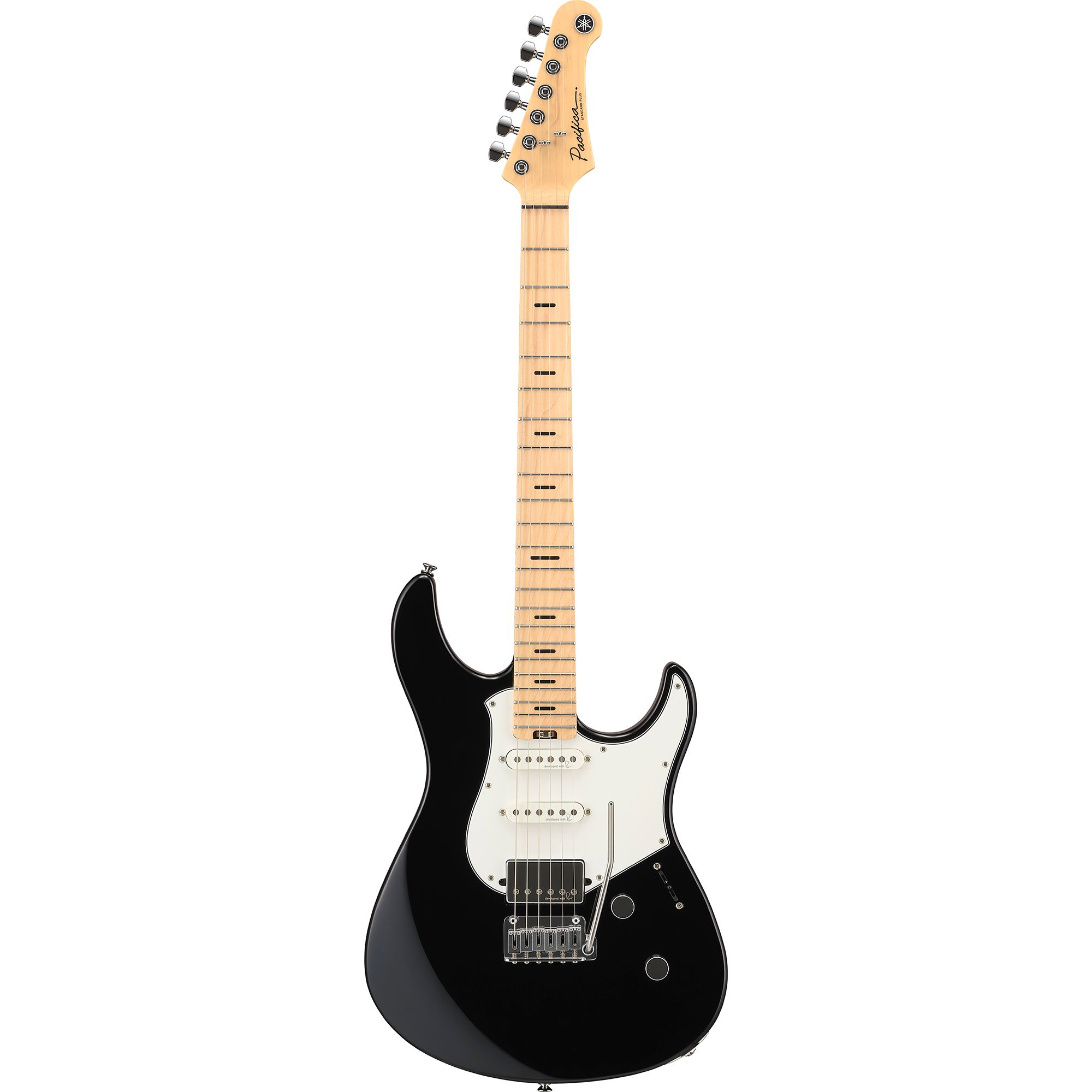 Pacifica - Pacifica Standard Plus - Electric Guitars - Guitars 