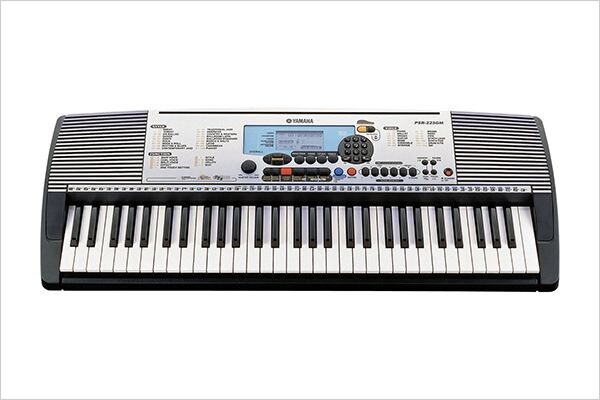 PSR-225GM