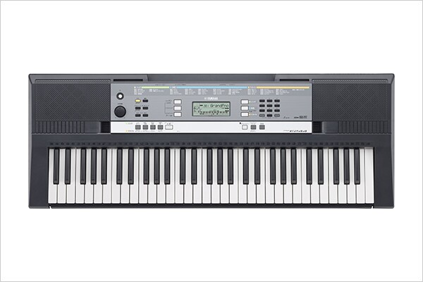 PSR-E244