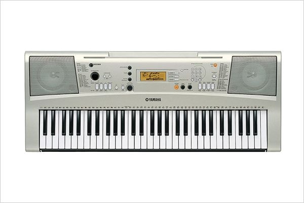 PSR-E313