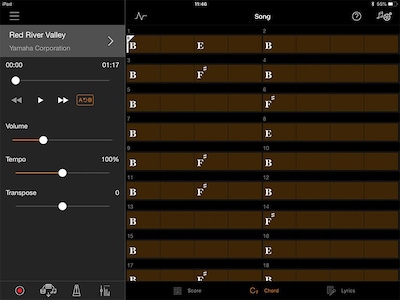 Play your favorite songs right away with chord progression