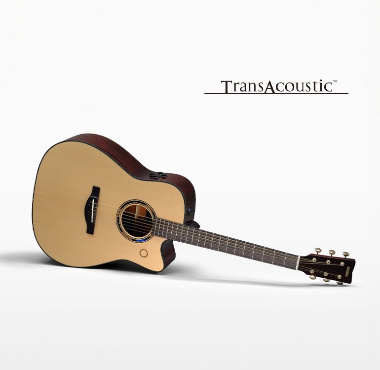 Yamaha TransAcoustic アコースティックギター fs-ta_rr_a_0001.jpg