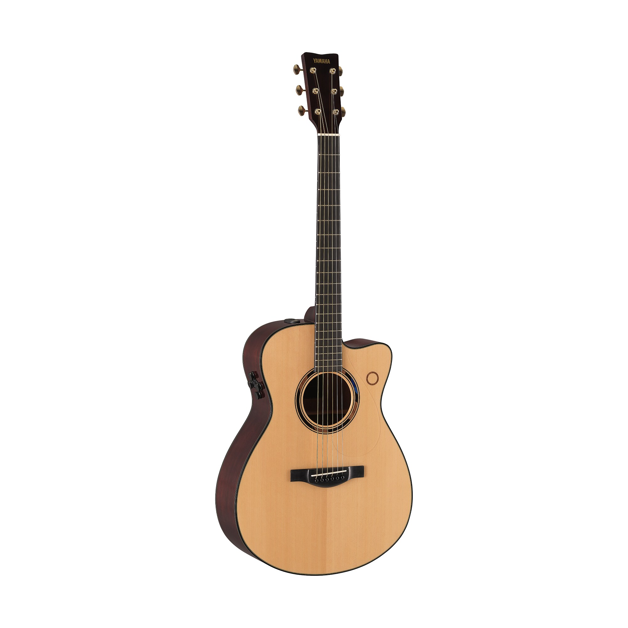 TransAcoustic Guitars (2nd Gen) - Overview - Acoustic Guitars