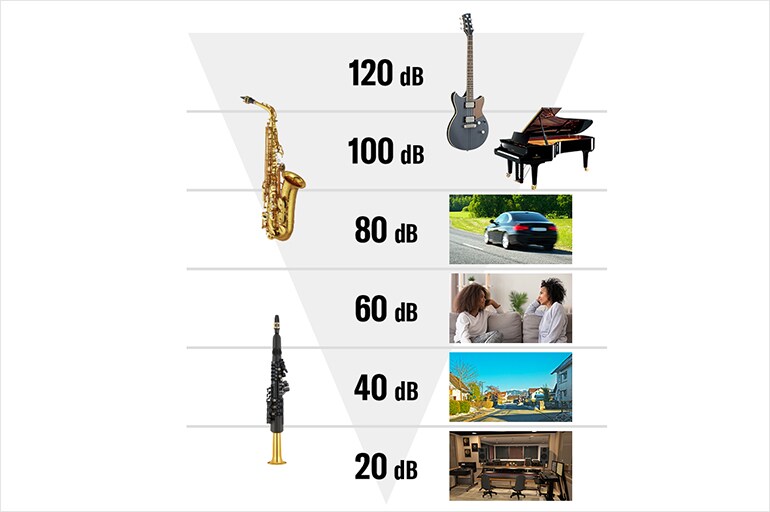 Various／Voices & Instruments ev-zx5-