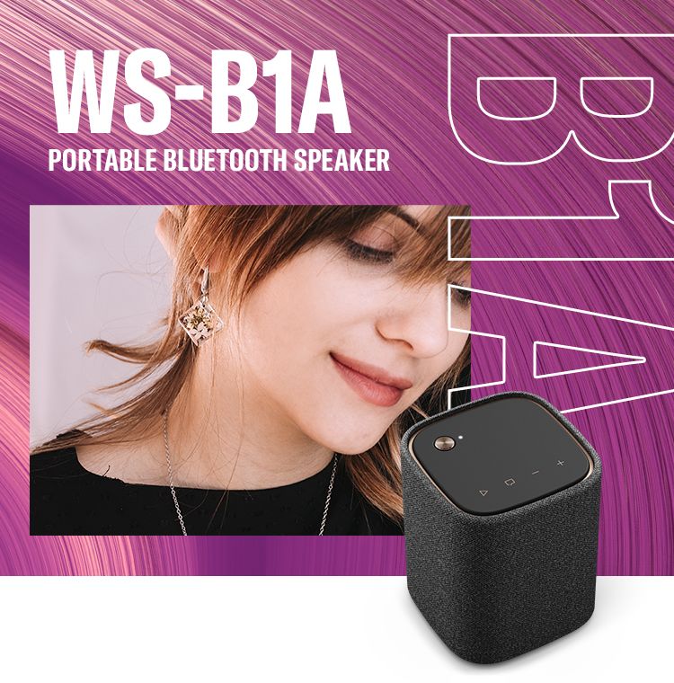 WS-B1A - Overview - Bluetooth Speakers - Audio & Visual - Products