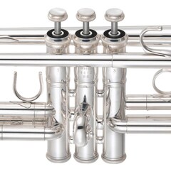 Valve Casing