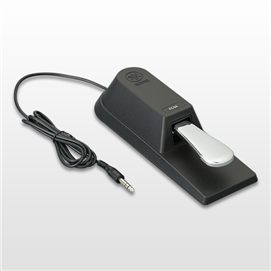 Amazon.com: Yamaha Piaggero NP11 61-Key Lightweight Compact