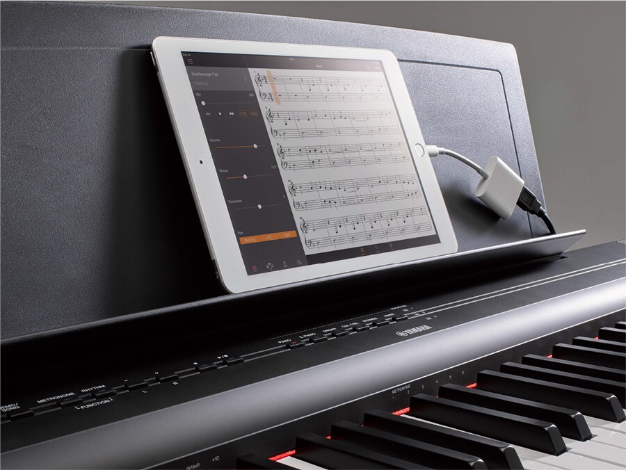 P-121 - Overview - P Series - Products - Pianos - Yamaha - Canada