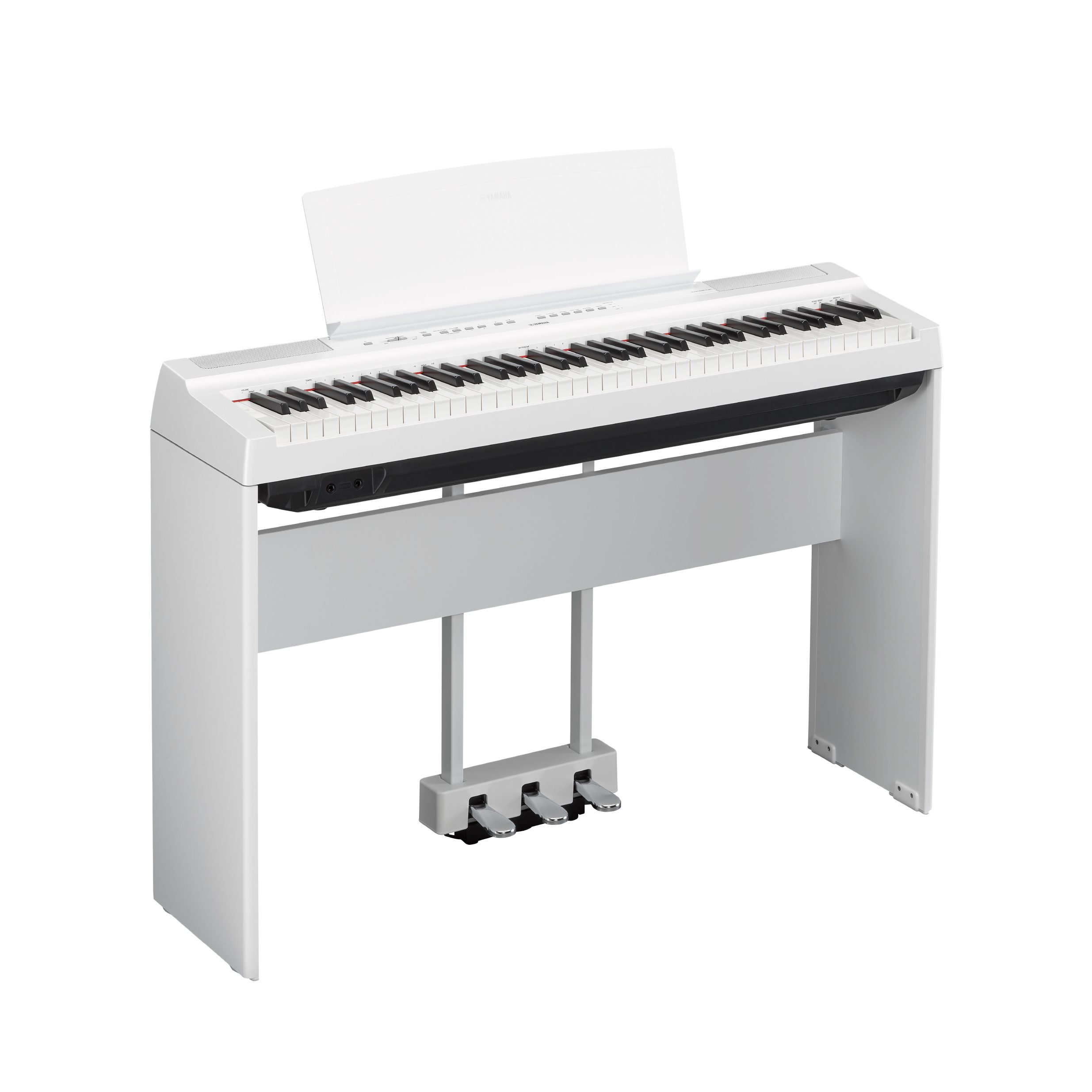 P-121 - Overview - P Series - Pianos - Musical Instruments