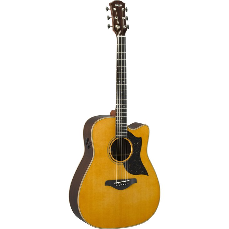 Guitar Finder for Acoustic Guitar - Yamaha - Canada - English