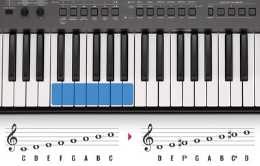 Transpose