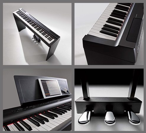 P-121 - Overview - P Series - Pianos - Musical Instruments