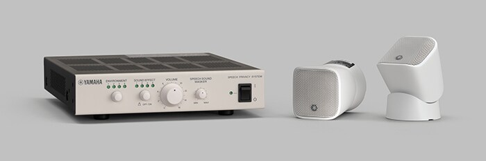 Speech Privacy Systems