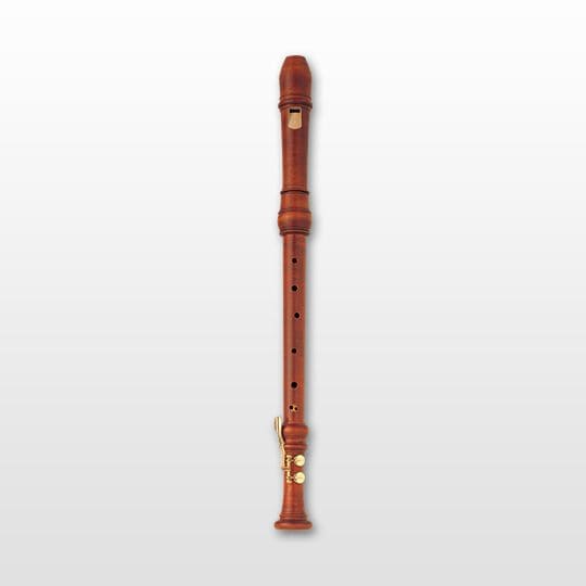 Tenor Overview Recorders Brass & Woodwinds Musical Instruments