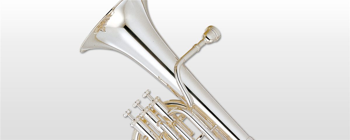 woodwind brass and percussion instruments quiz woodwind brass and percussion instruments quiz