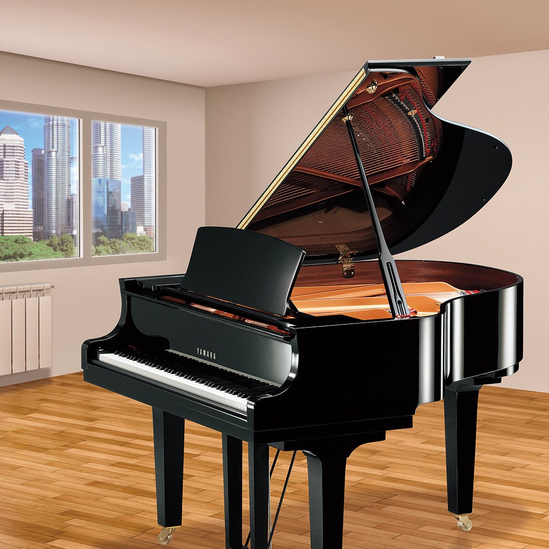 Série CX Détails Pianos à queue Pianos Instruments de musique