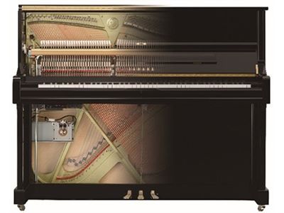 Hybrid Piano System "TransAcoustic TA2"