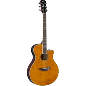 APX600FM AMBER Left Front