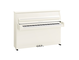 Image du produit B10 (Blanc poli chrome)