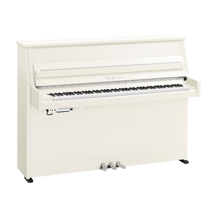 Image du produit B10TC3 (Blanc poli chrome)
