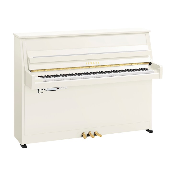 Image du produit B10TC3 (Blanc poli)