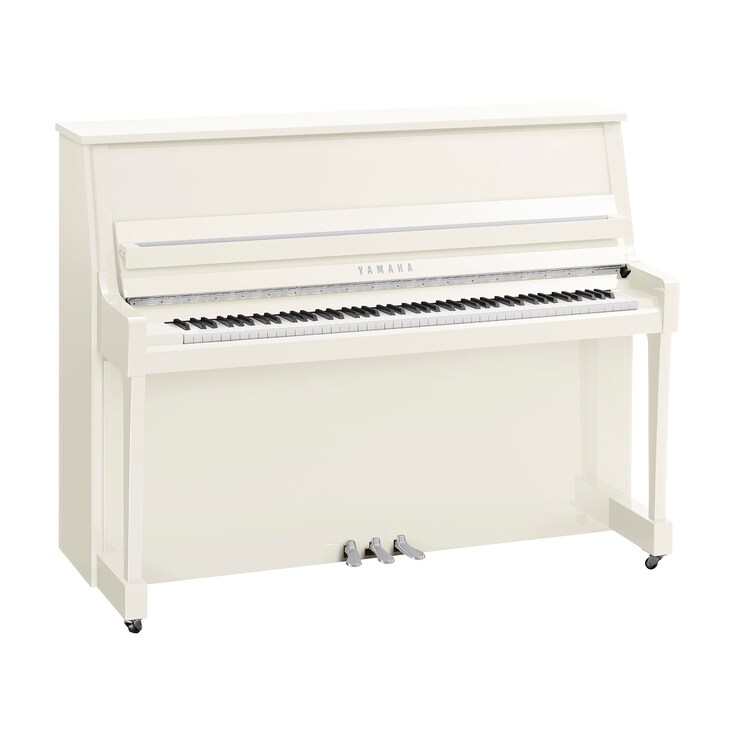 Image du produit B20 (Blanc poli chrome)